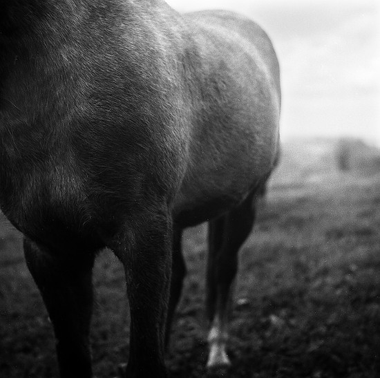 Agfa Rodinal + Kodak Plus-x